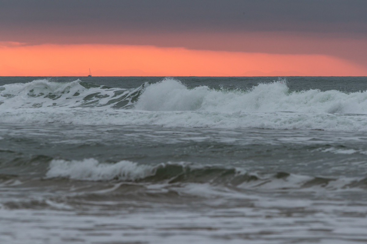 Paysages des Landes