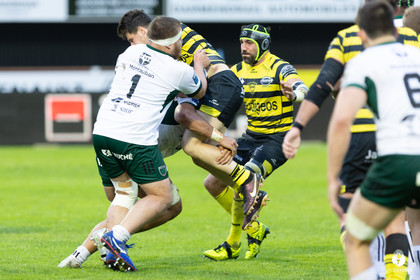 Stade Montois Rugby - Montauban