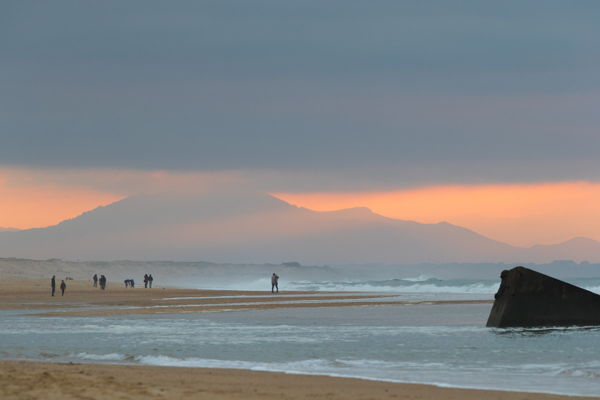 Paysages des Landes