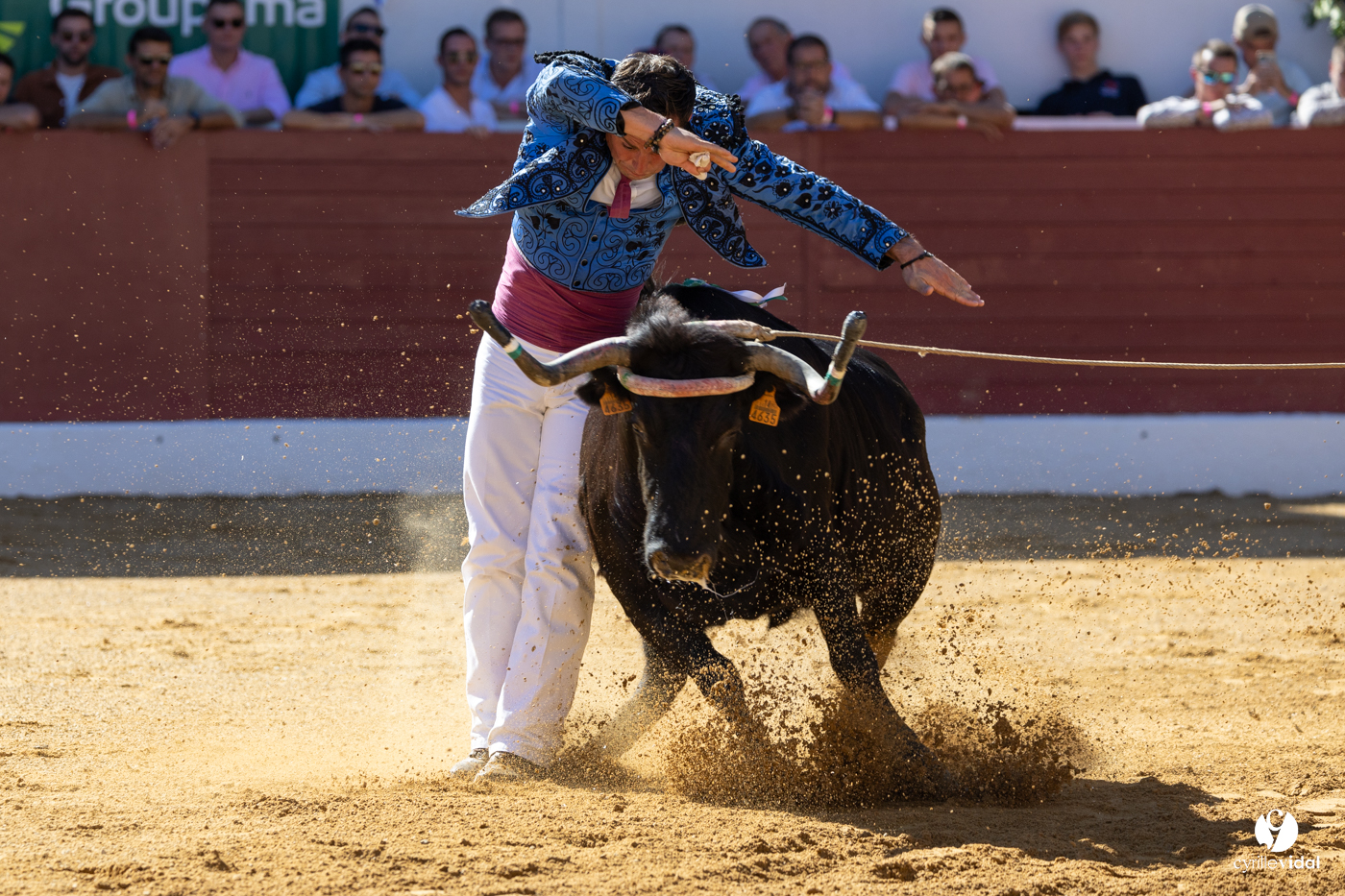 Aire-sur-l'Adour Championnat de France de course landaise 2023