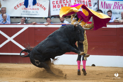 Mont-de-Marsan corrida de Jandilla pour Padilla - Talavante - Roca Rey
