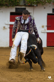 Nogaro Championnatde France de Course Landaise 2017