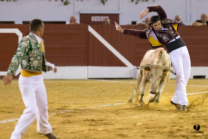 Aire sur l'Adour course landaise génération Aturine