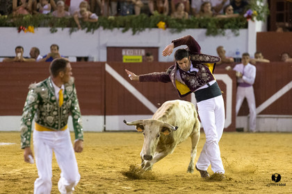 Aire sur l'Adour course landaise génération Aturine