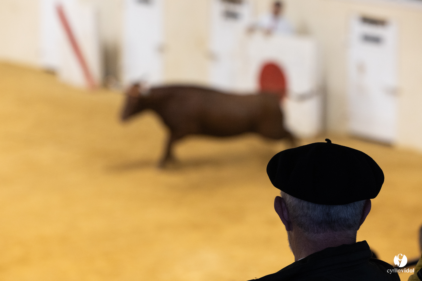 Horsarrieu course landaise du boléro d'Argent