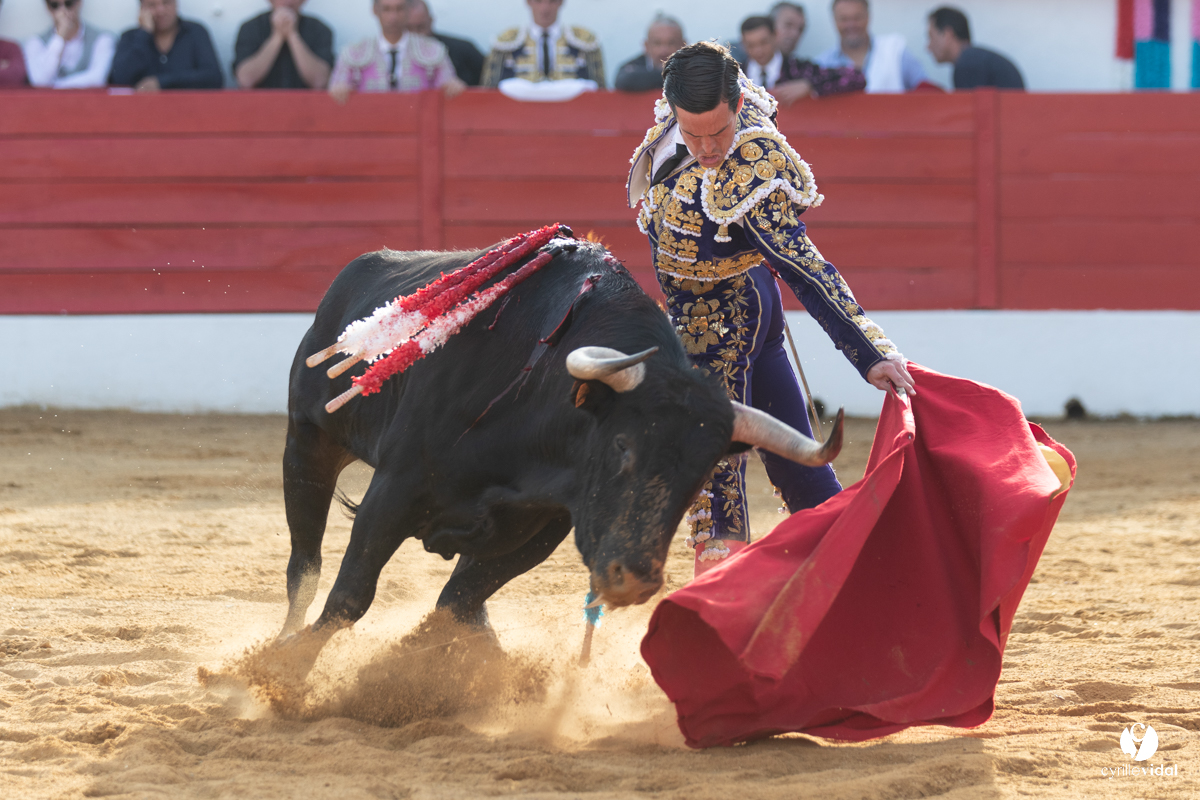 Corrida Aignan