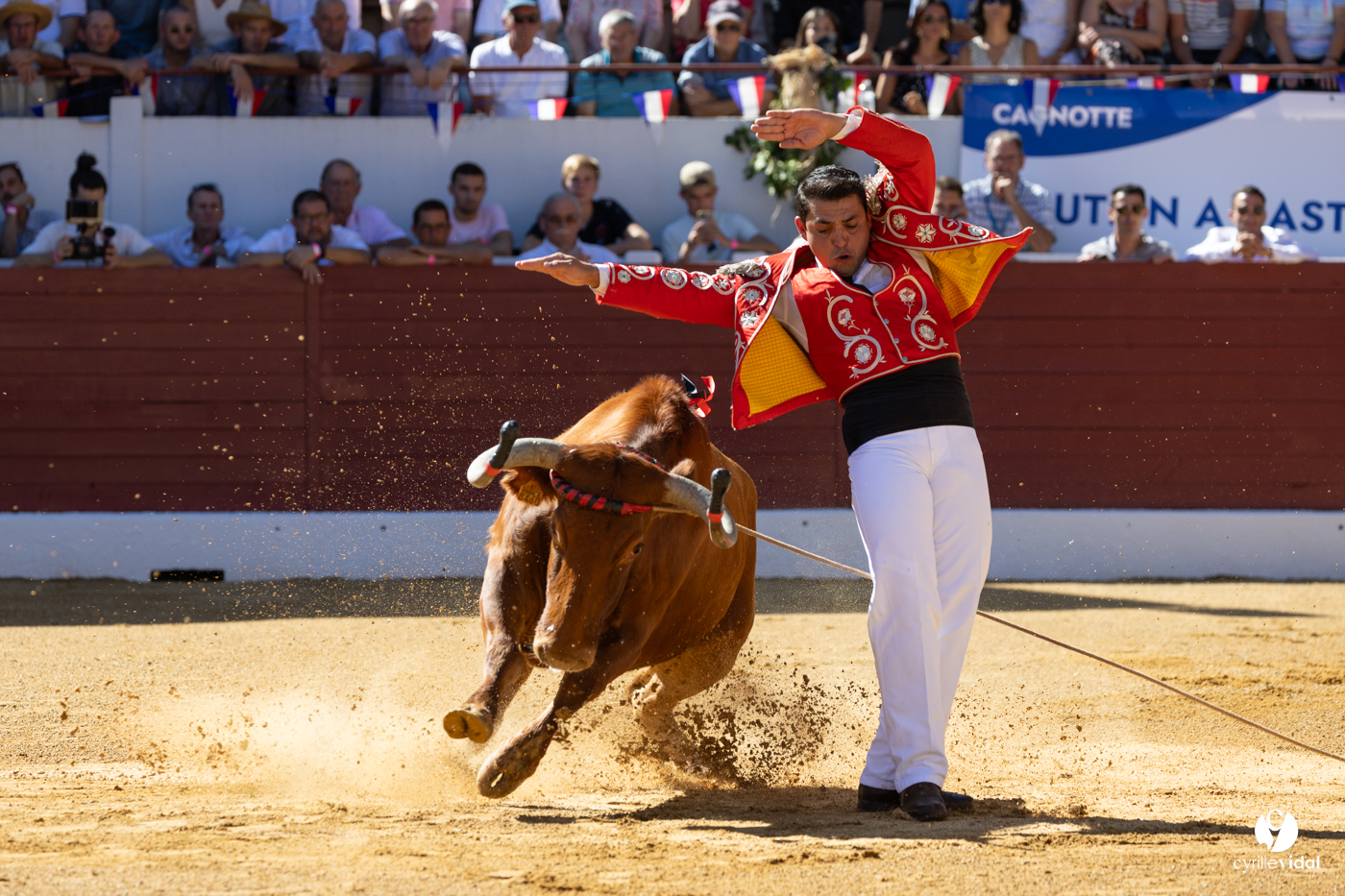 Aire-sur-l'Adour Championnat de France de course landaise 2023