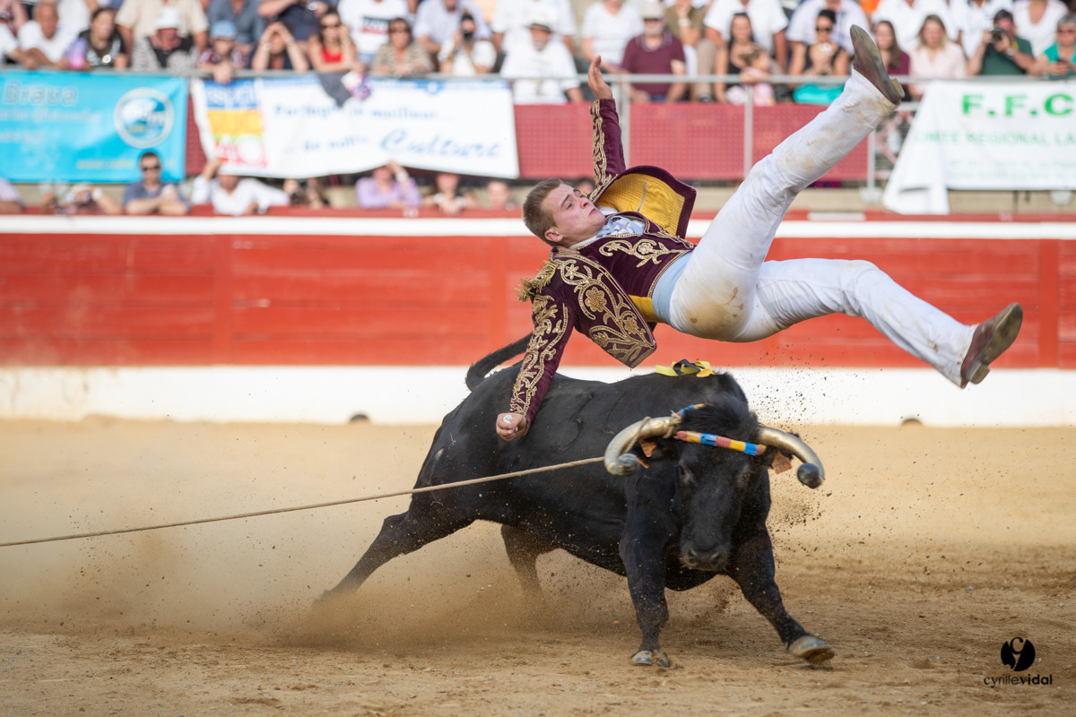 Mont-de-Marsan championnat de France de course landaise 2019