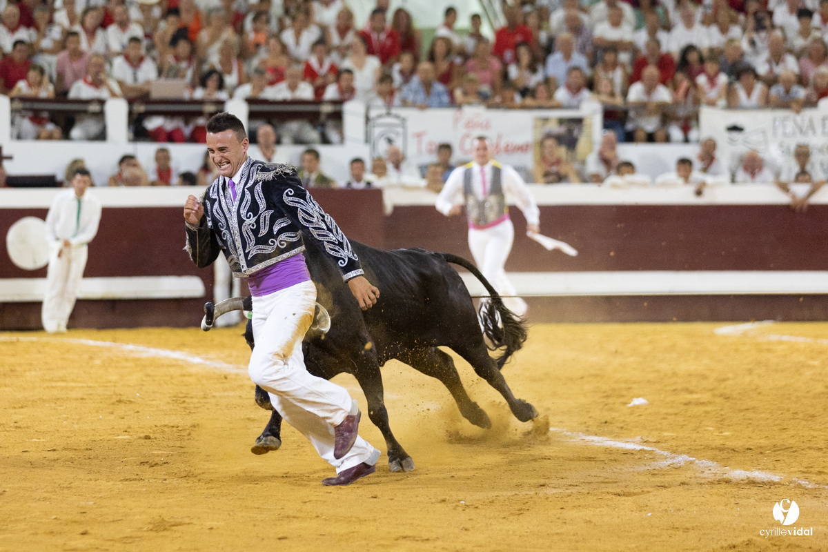 Dax concours landais 2022