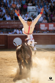 Mont-de-Marsan championnat de France de course landaise 2019