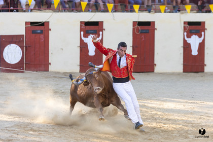 Course landaise