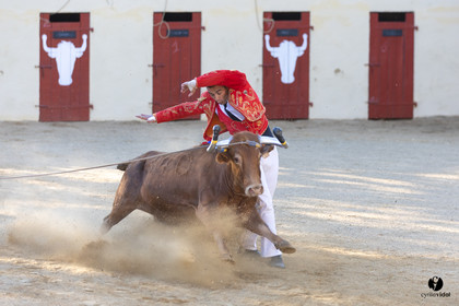 Course landaise