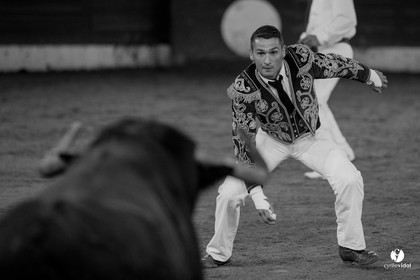 Mont-de-Marsan festival Art et Courage