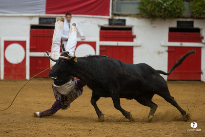 Nogaro Championnatde France de Course Landaise 2017