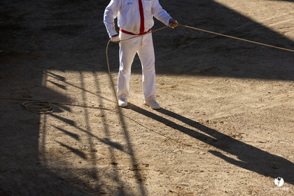Course landaise