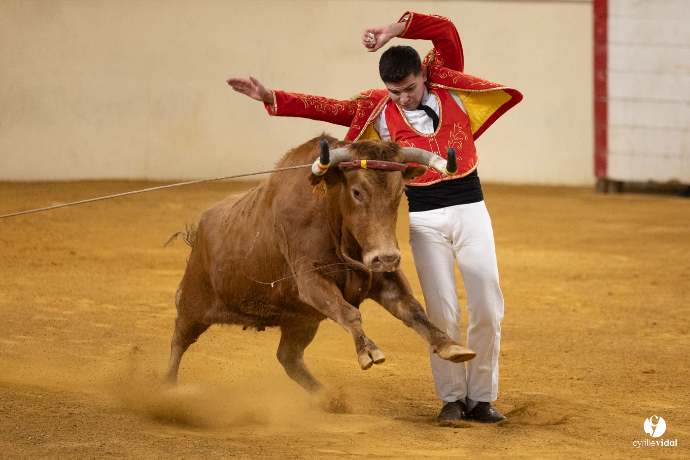 Horsarrieu course landaise du boléro d'Argent