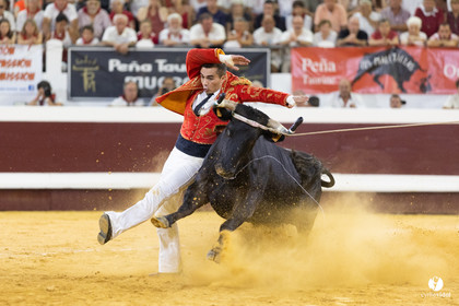 Dax concours landais 2022