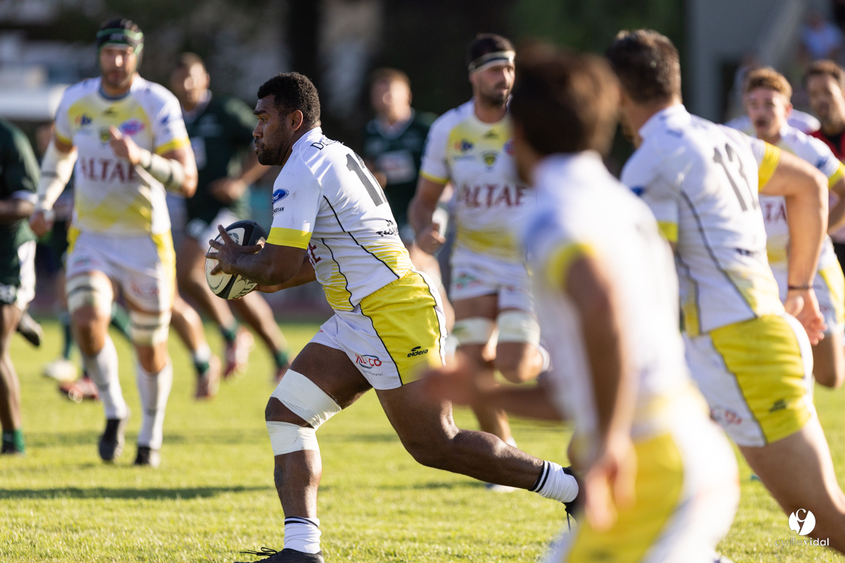 Stade Montois Rugby - Section Paloise