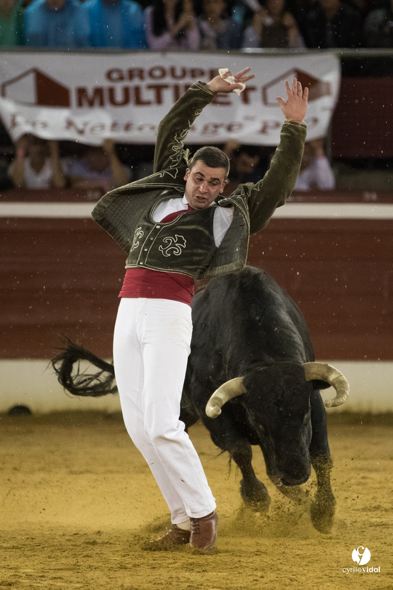 Mont-de-Marsan festival Art et Courage