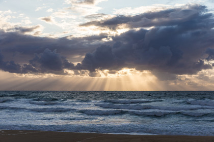 Paysages des Landes