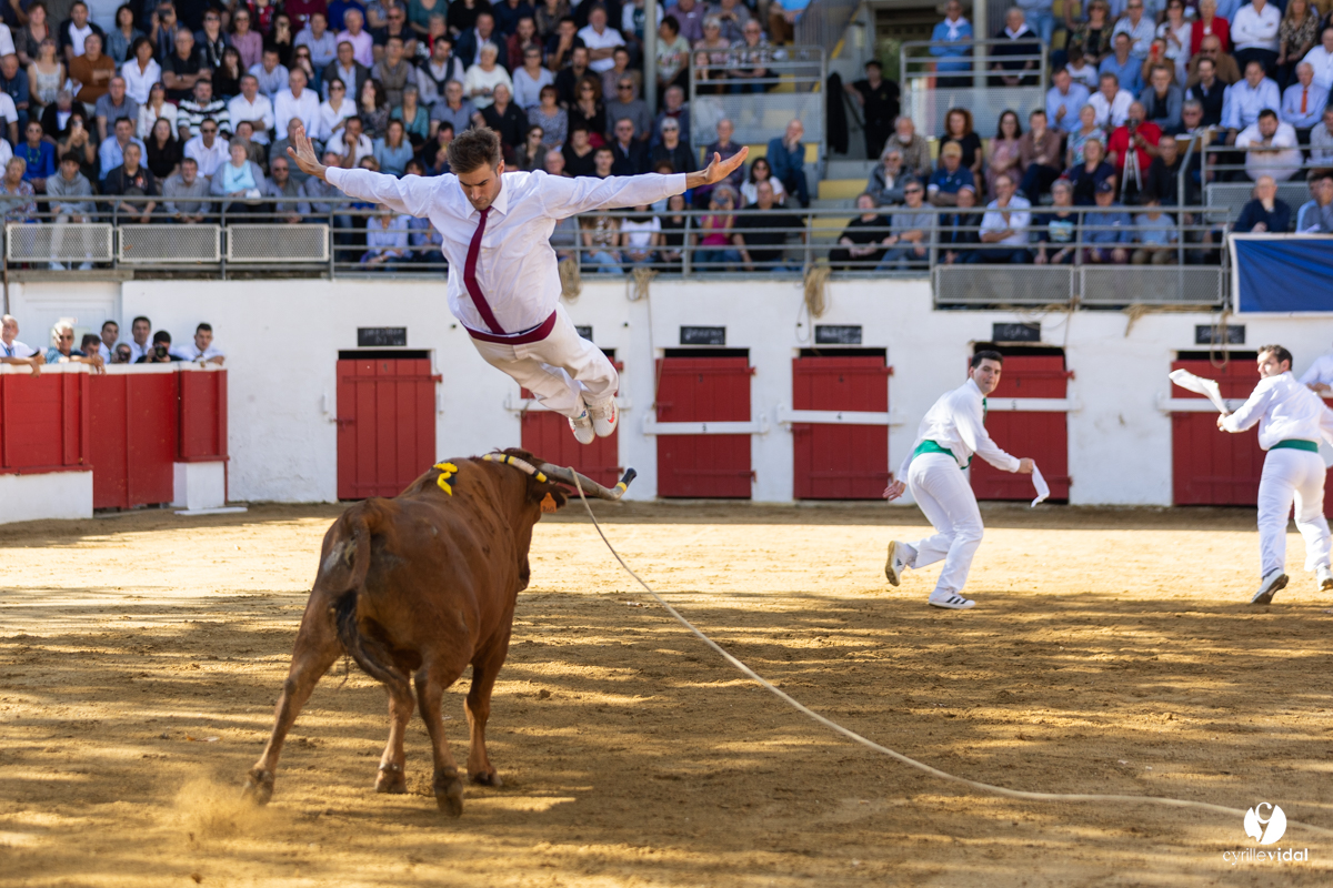 Nogaro Championnat de France de course landaise 2022
