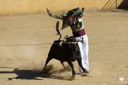Course landaise