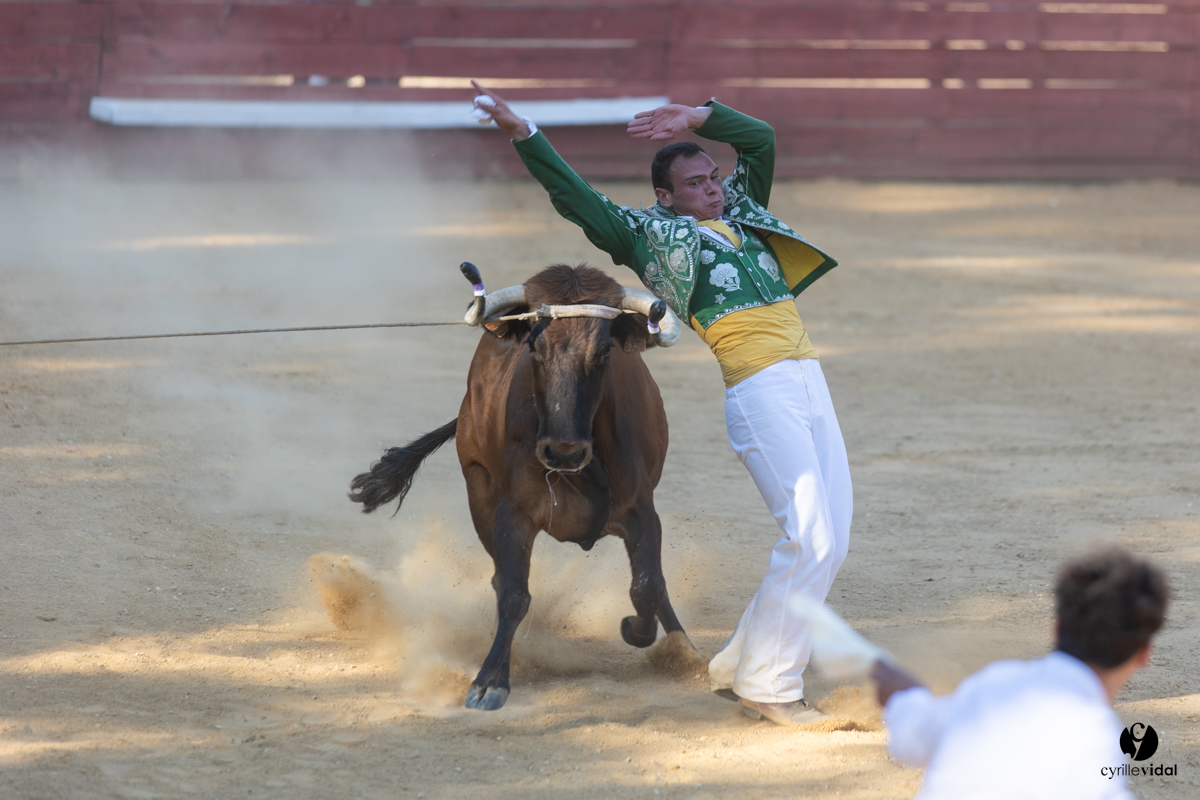 Course landaise à Panjas