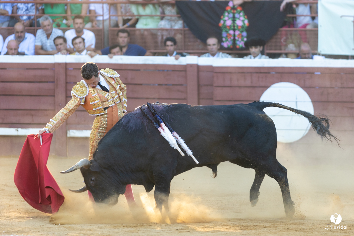 Corrida de Villeneuve-de-Marsan