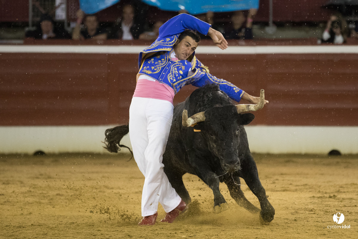 Mont-de-Marsan festival Art et Courage