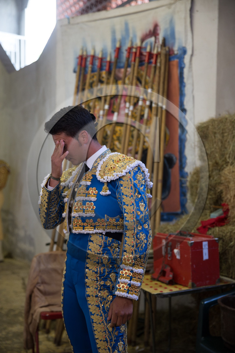 corrida, toro, vic fezensac, alcurrucen, michelito, morenito de aranda