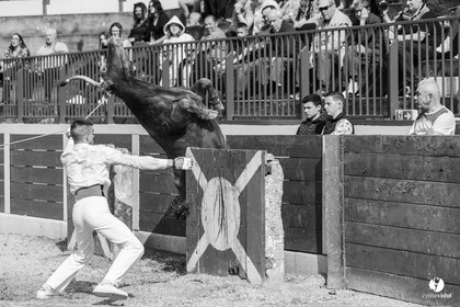 Course landaise Le Houga Ganadéria Dussau Cuadrilla Alexandre Brethes
