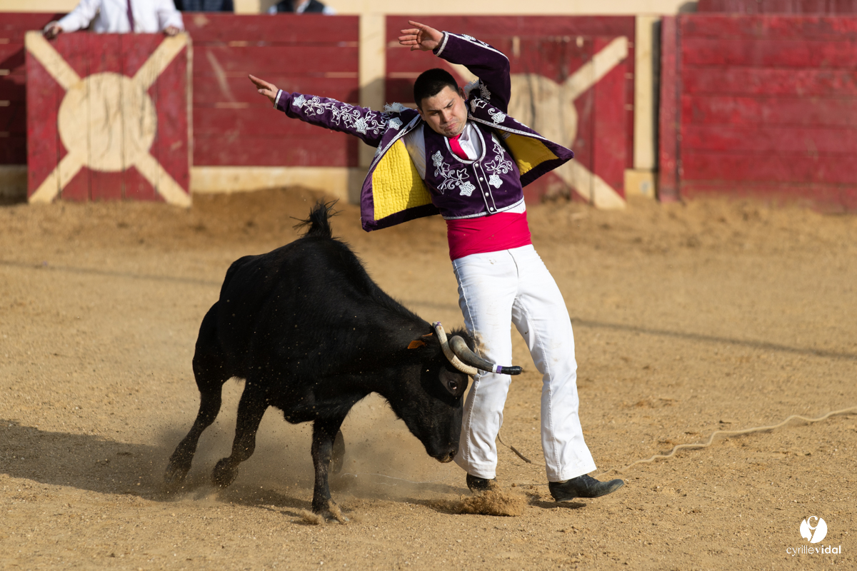 Course landaise Le Houga Ganadéria Dussau Cuadrilla Alexandre Brethes