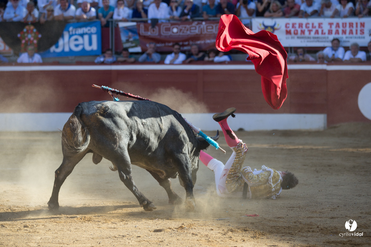 Mont-de-Marsan corrida d'Adolfo Martin