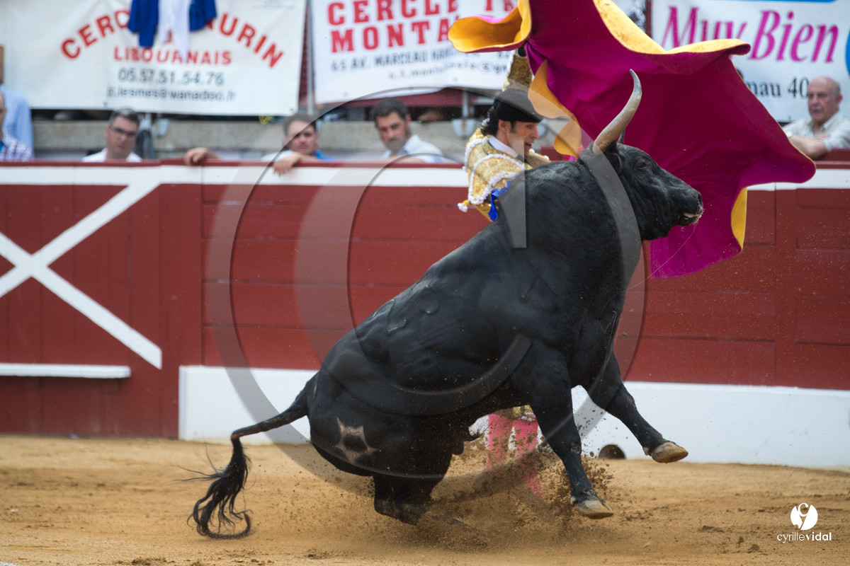 Mont-de-Marsan corrida de Jandilla pour Padilla - Talavante - Roca Rey
