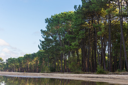 Paysages des Landes