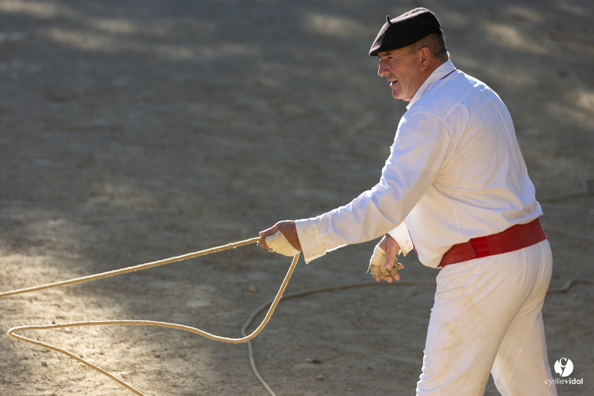 Course landaise
