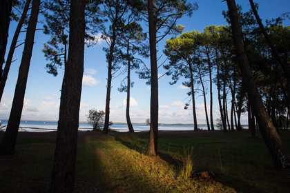 Paysages des Landes