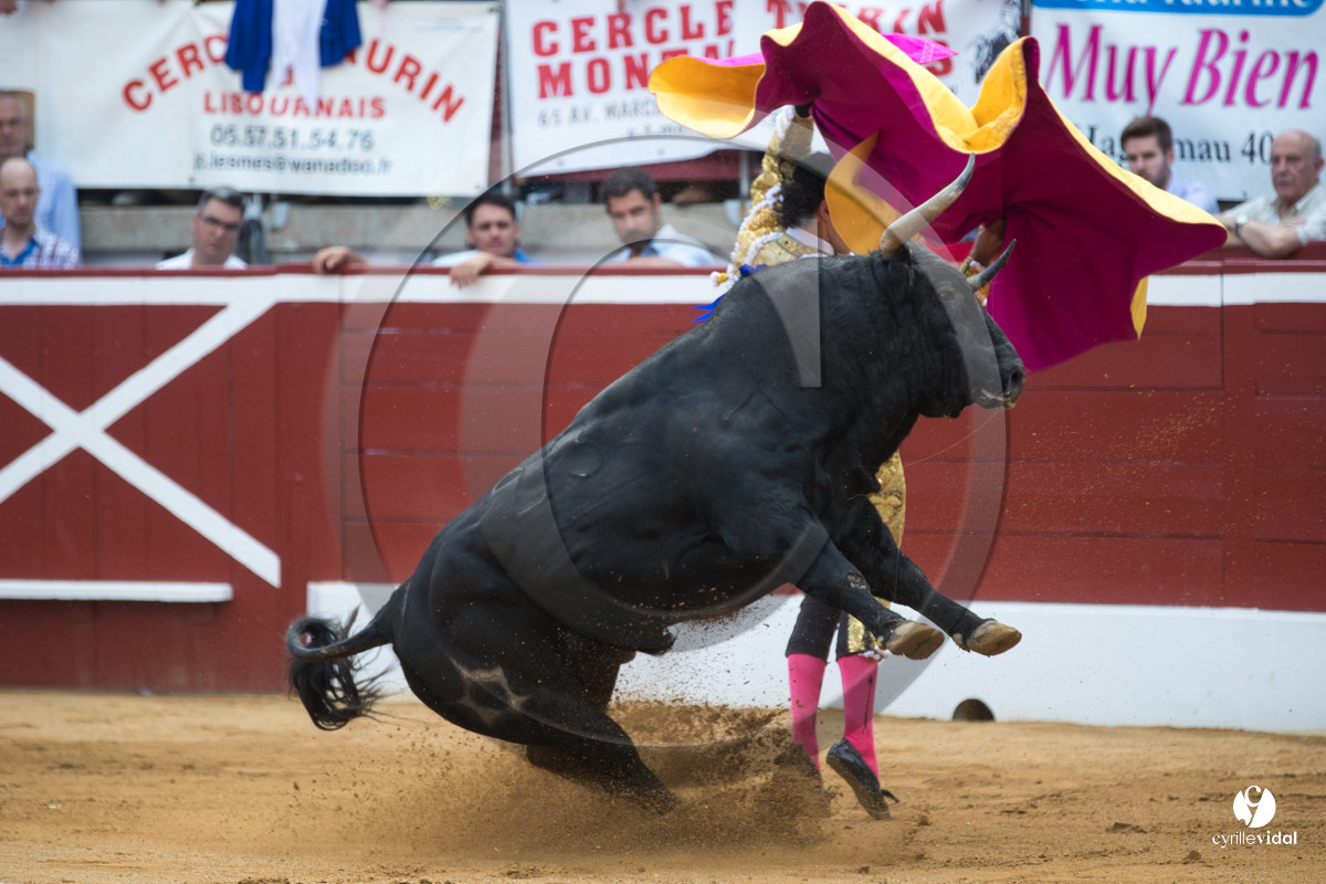 Mont-de-Marsan corrida de Jandilla pour Padilla - Talavante - Roca Rey