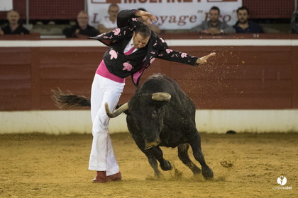 Mont-de-Marsan festival Art et Courage
