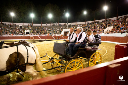 Landes émotions à Aire-sur-l'Adour