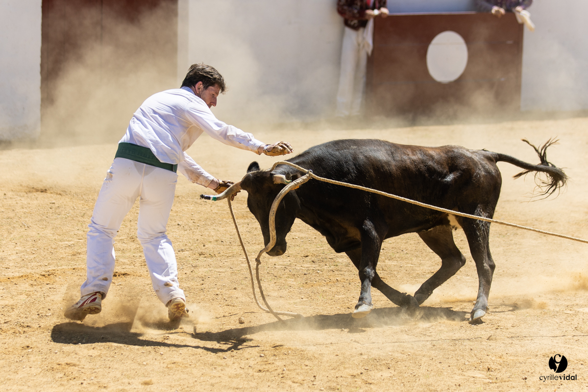 Saint-Cricq Chalosse course landaise de promotion Ganadéria Deyris Cuadrilla Jérémy Lafitte