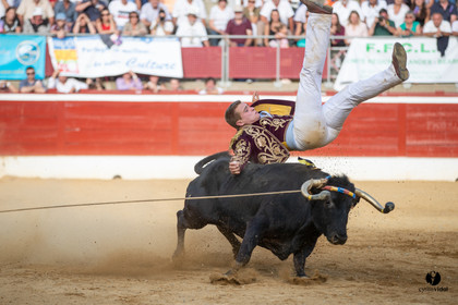 Mont-de-Marsan championnat de France de course landaise 2019