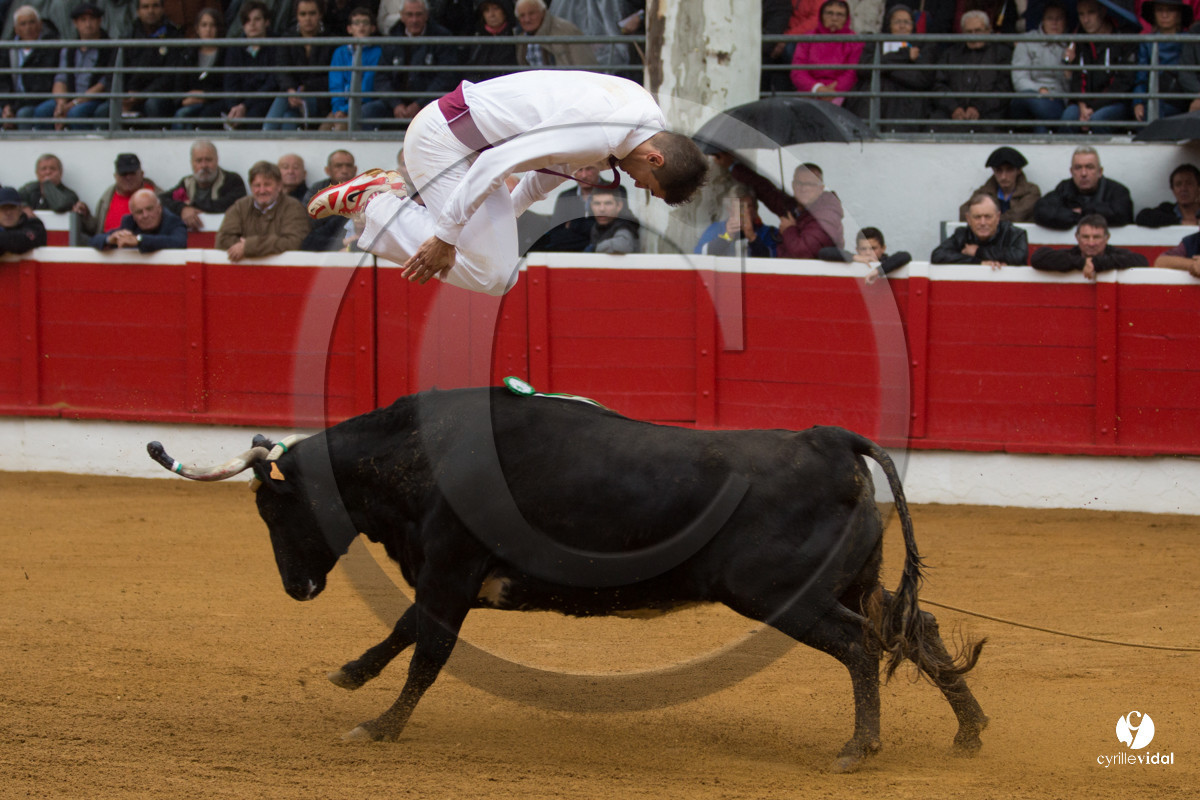 Nogaro Championnatde France de Course Landaise 2017