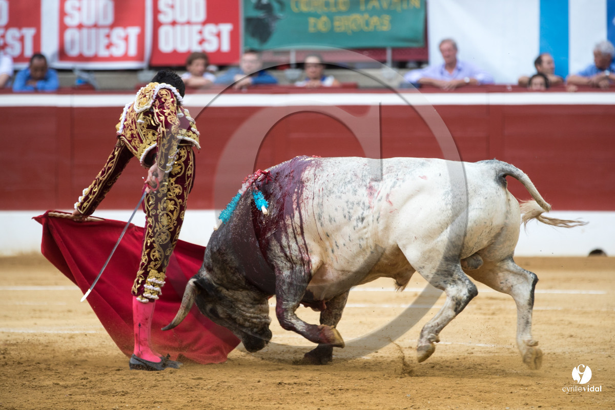 Mont-de-Marsan corrida de la Quinta pour Juan Bautista - Emilio de Justo - Thomas DUFAU
