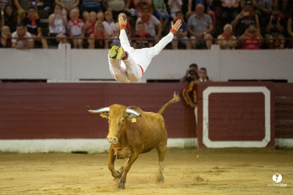 Landes émotions à Aire-sur-l'Adour