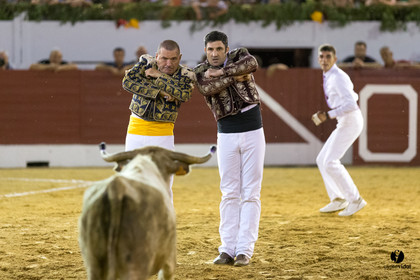 Aire sur l'Adour course landaise génération Aturine