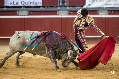 Mont-de-Marsan corrida de la Quinta pour Juan Bautista - Emilio de Justo - Thomas DUFAU