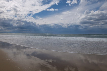 Paysages des Landes