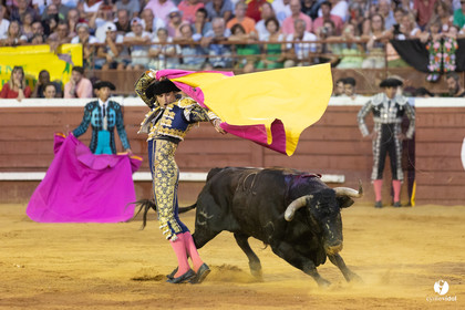 Corrida de Villeneuve-de-Marsan