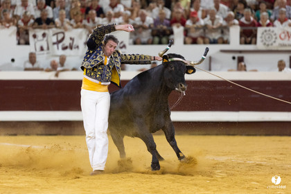 Dax concours landais 2022